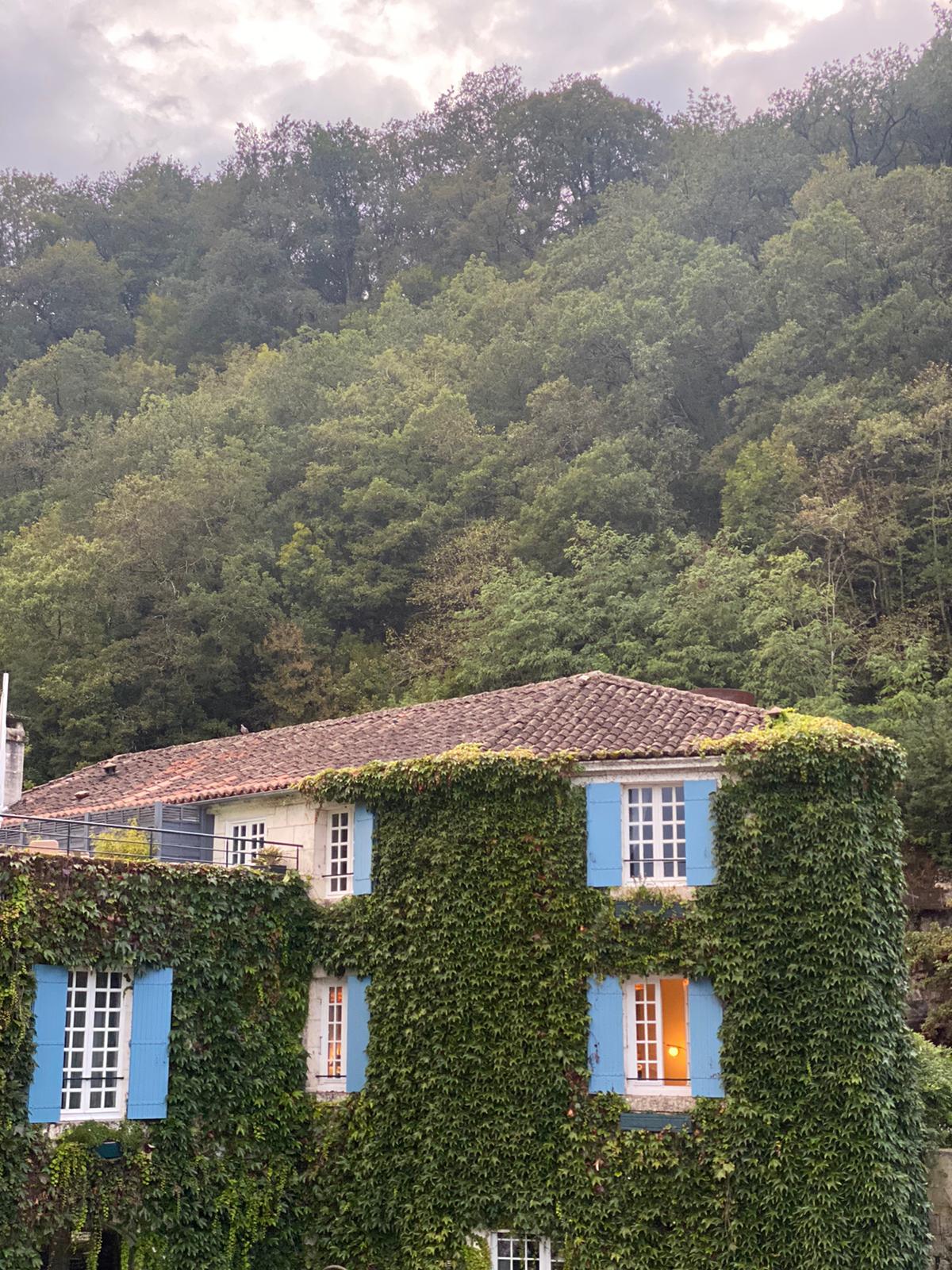 A house covered in ivy with blue shutters
